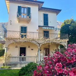 Magnolia - , Lenno Italië